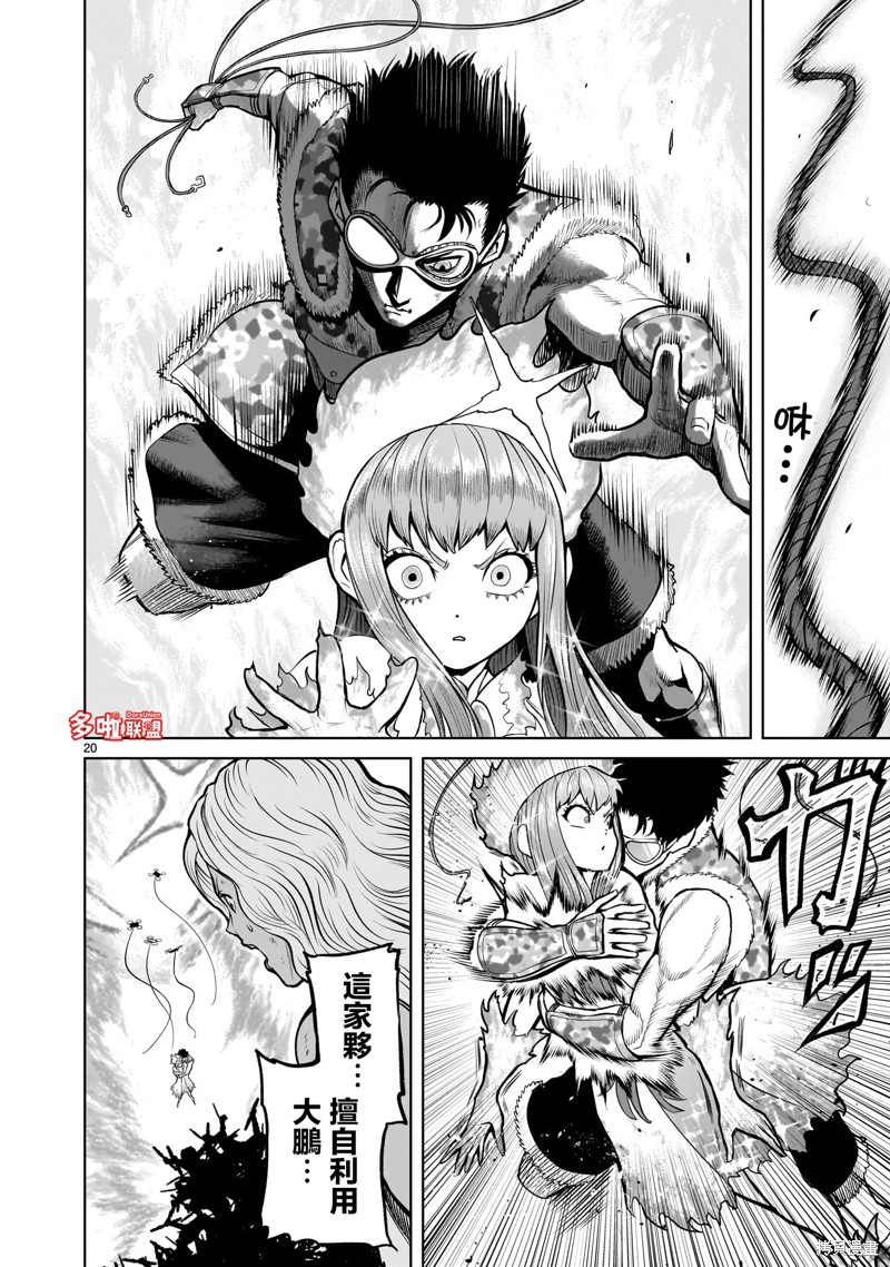 第20页