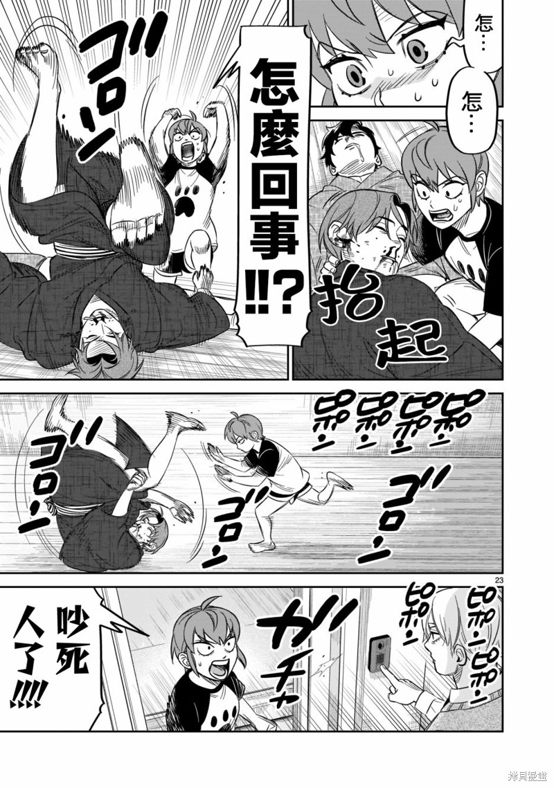 第23页