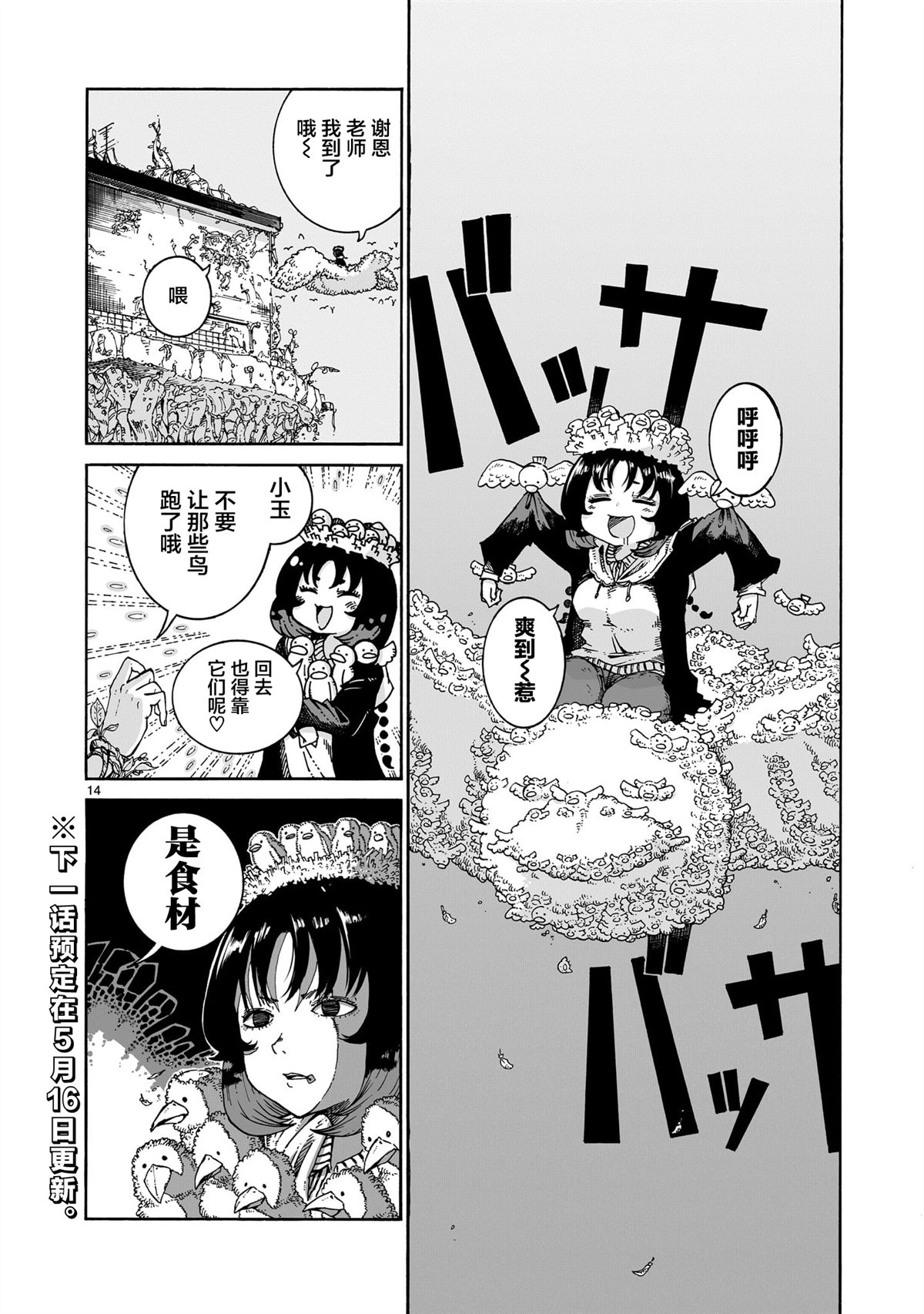 第14页